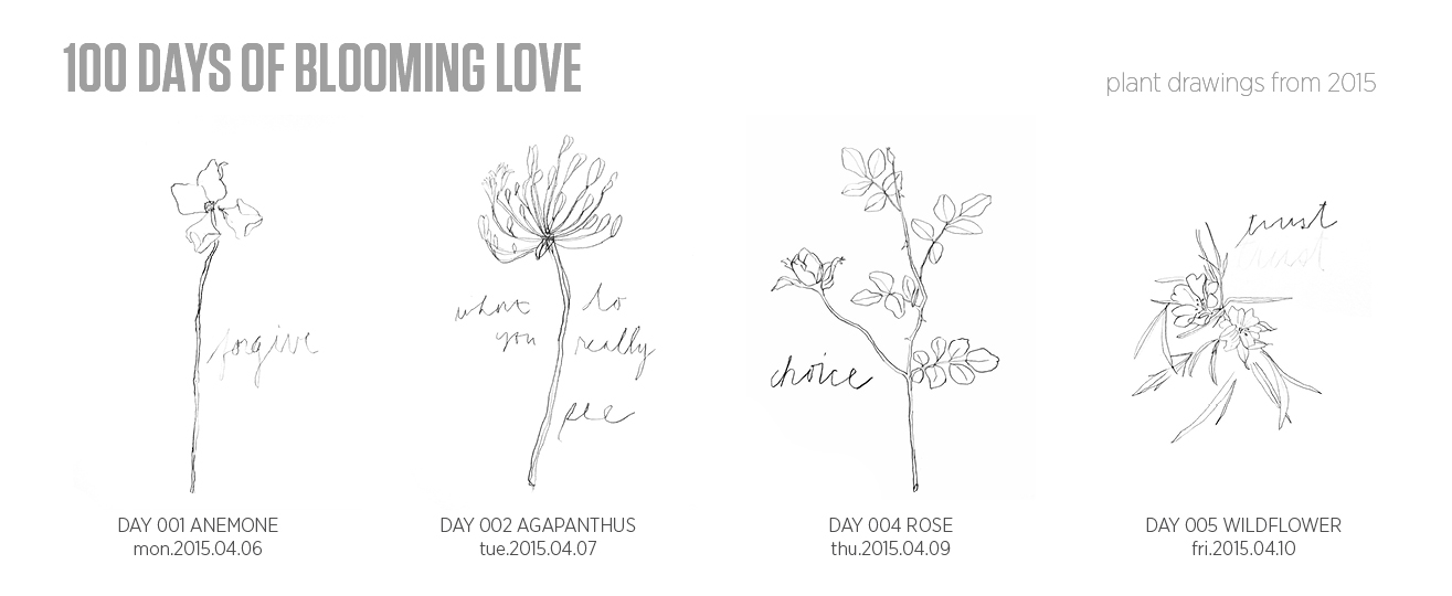 100 Days of Blooming Love (2015)